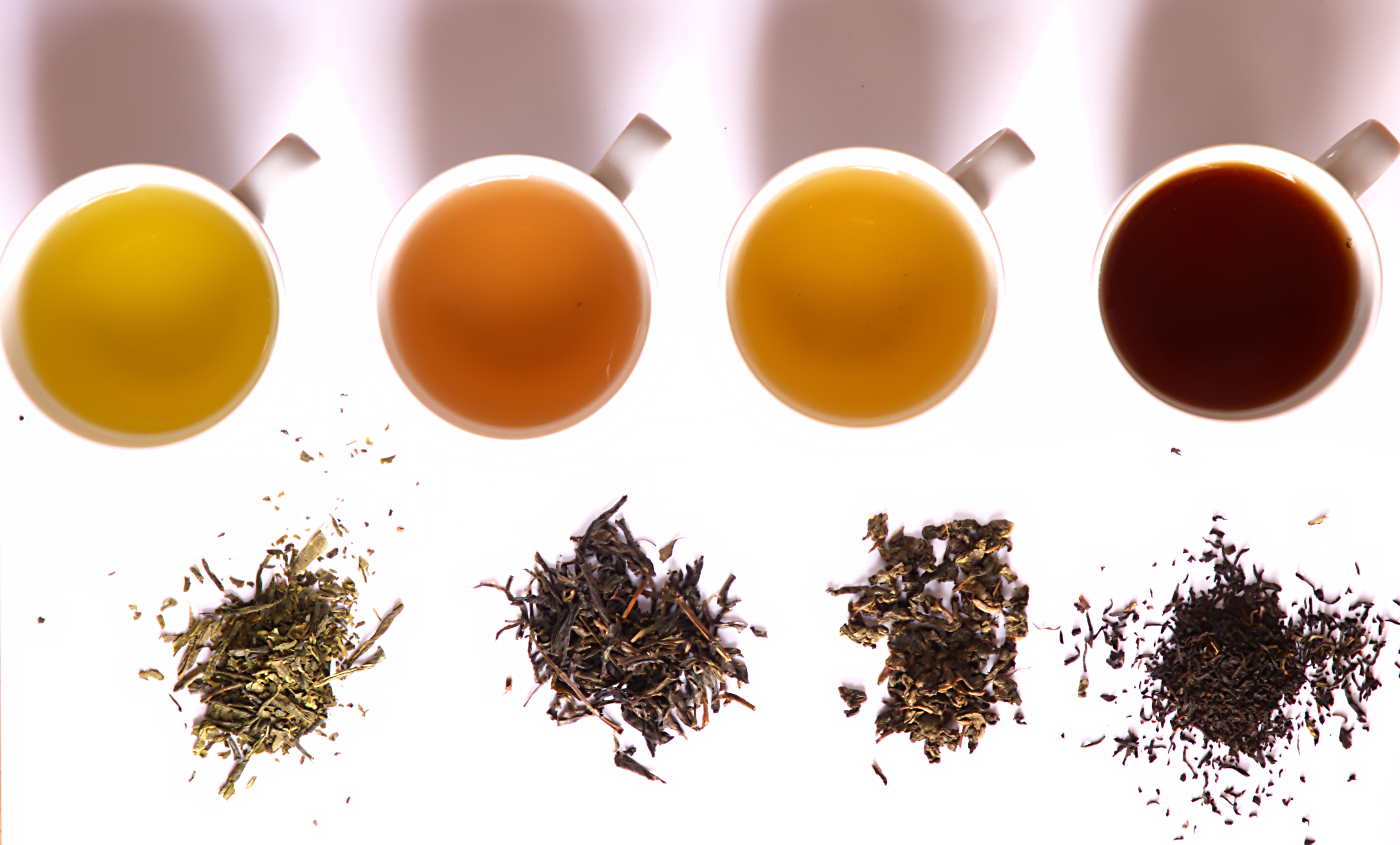 Rodzaje herbat – zastosowanie i właściwości zdrowotne